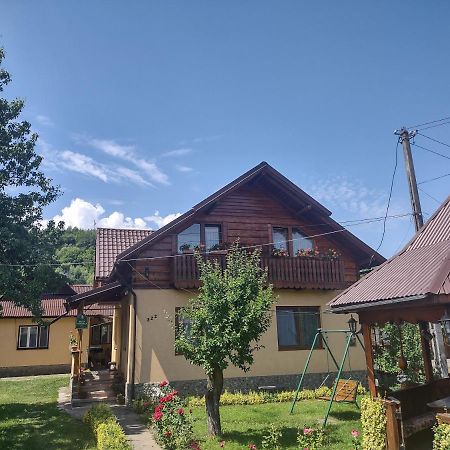 Pensiunea Ghita Vasile Vadu Izei Extérieur photo