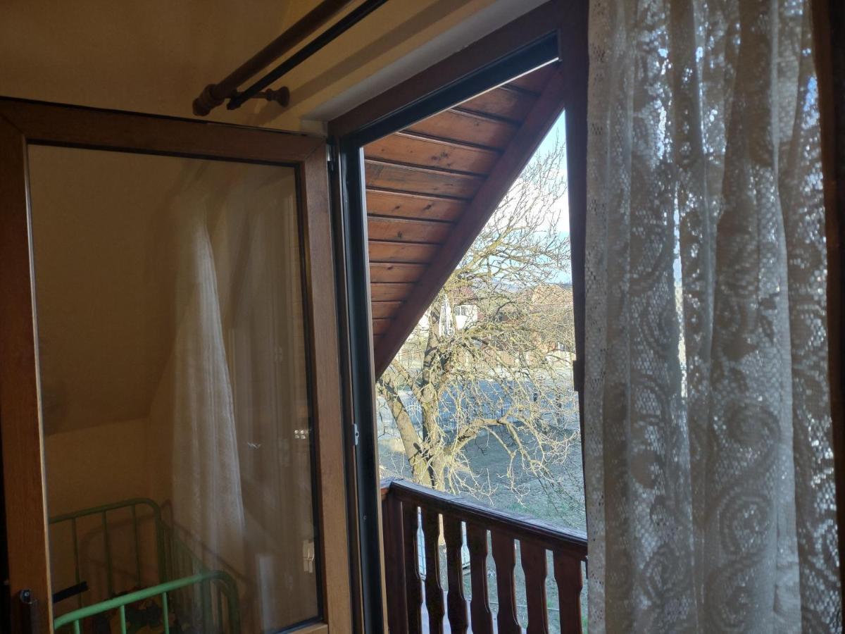 Pensiunea Ghita Vasile Vadu Izei Extérieur photo