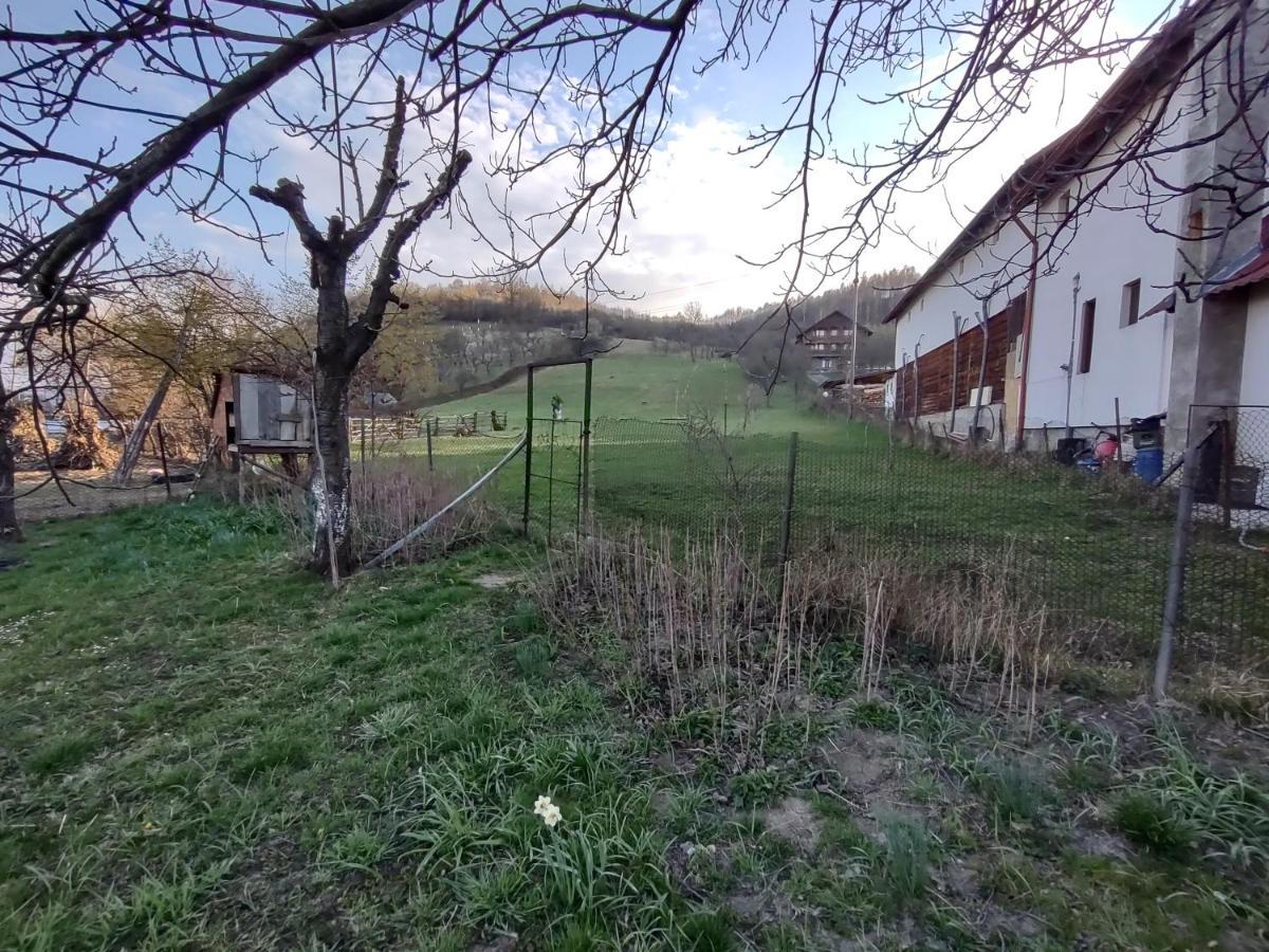 Pensiunea Ghita Vasile Vadu Izei Extérieur photo