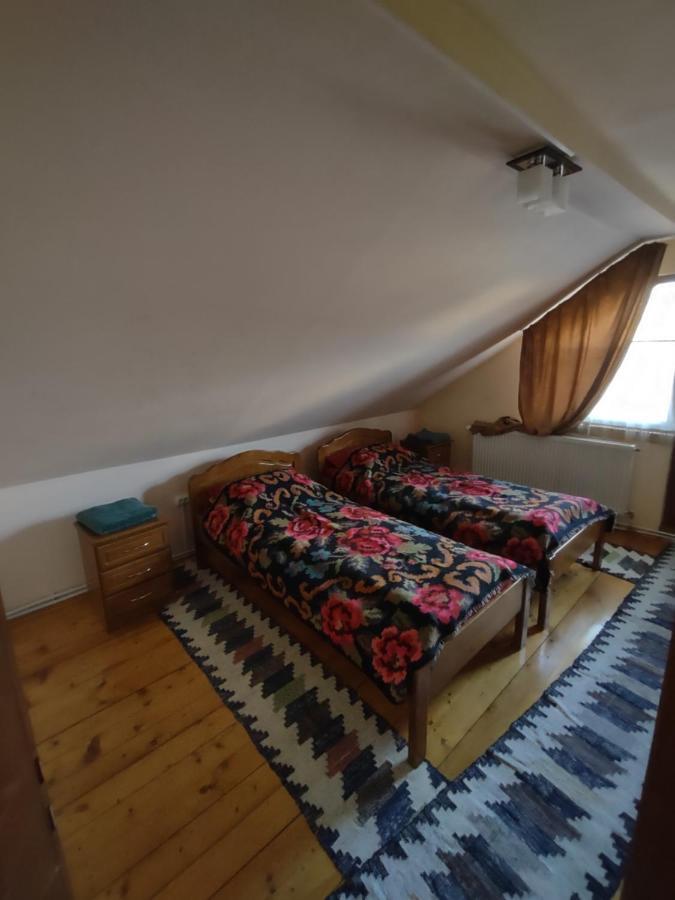 Pensiunea Ghita Vasile Vadu Izei Extérieur photo
