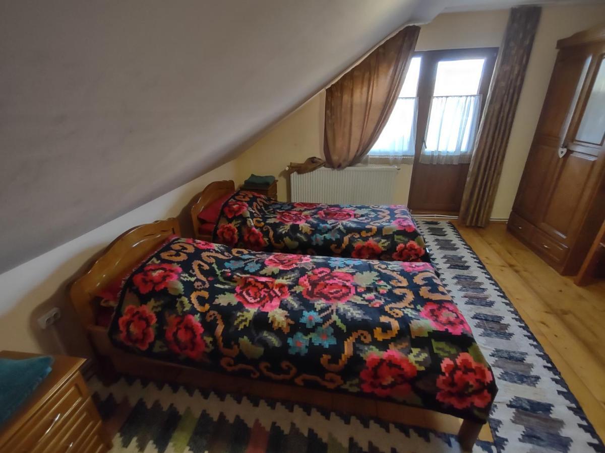 Pensiunea Ghita Vasile Vadu Izei Extérieur photo