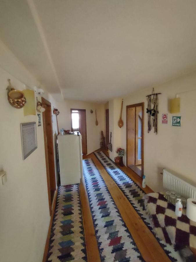 Pensiunea Ghita Vasile Vadu Izei Extérieur photo
