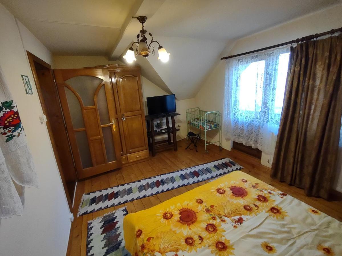 Pensiunea Ghita Vasile Vadu Izei Extérieur photo