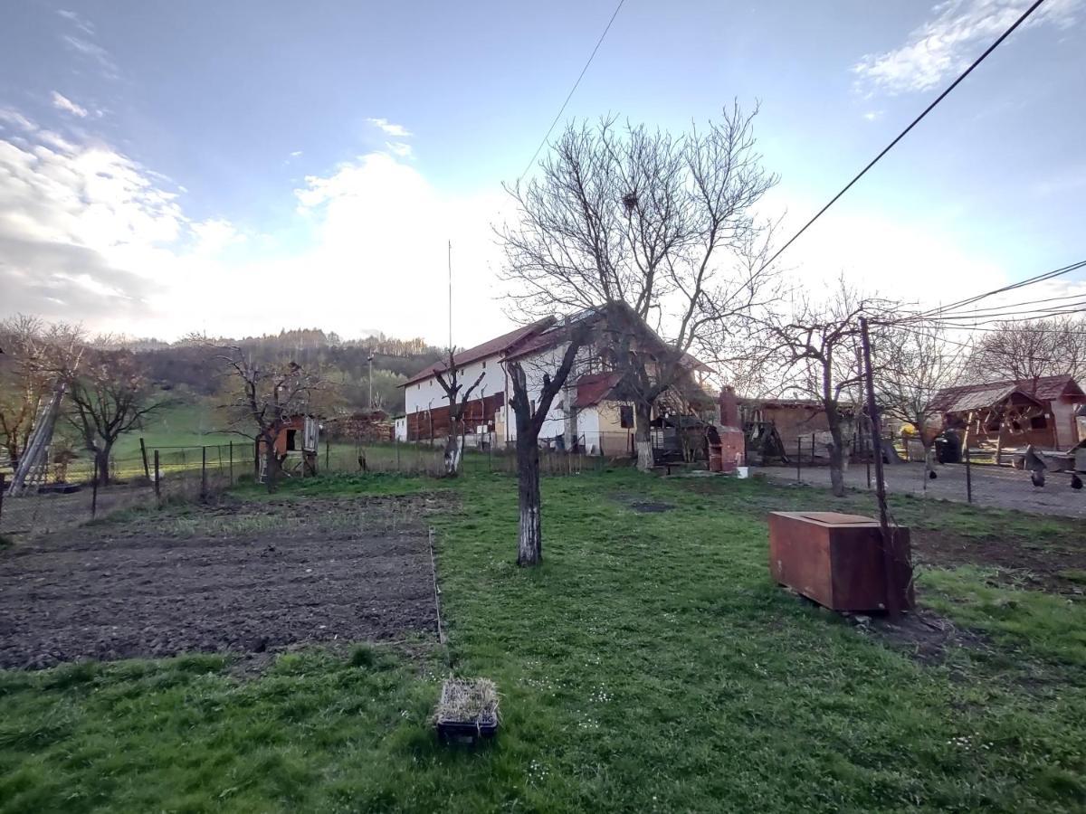 Pensiunea Ghita Vasile Vadu Izei Extérieur photo