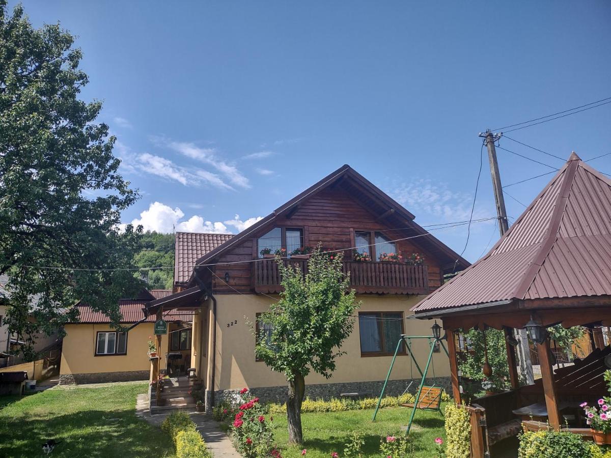 Pensiunea Ghita Vasile Vadu Izei Extérieur photo