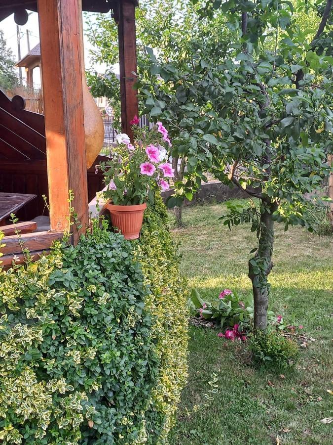 Pensiunea Ghita Vasile Vadu Izei Extérieur photo