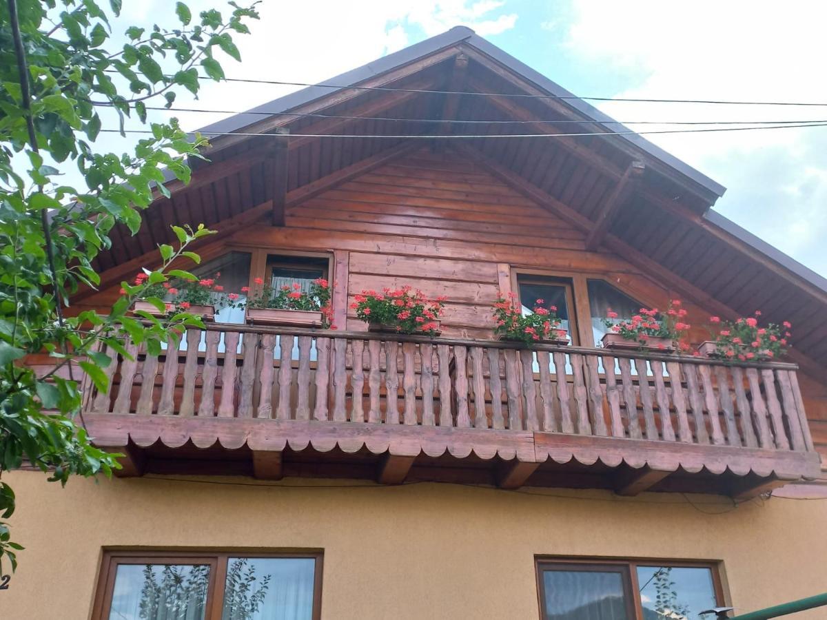 Pensiunea Ghita Vasile Vadu Izei Extérieur photo