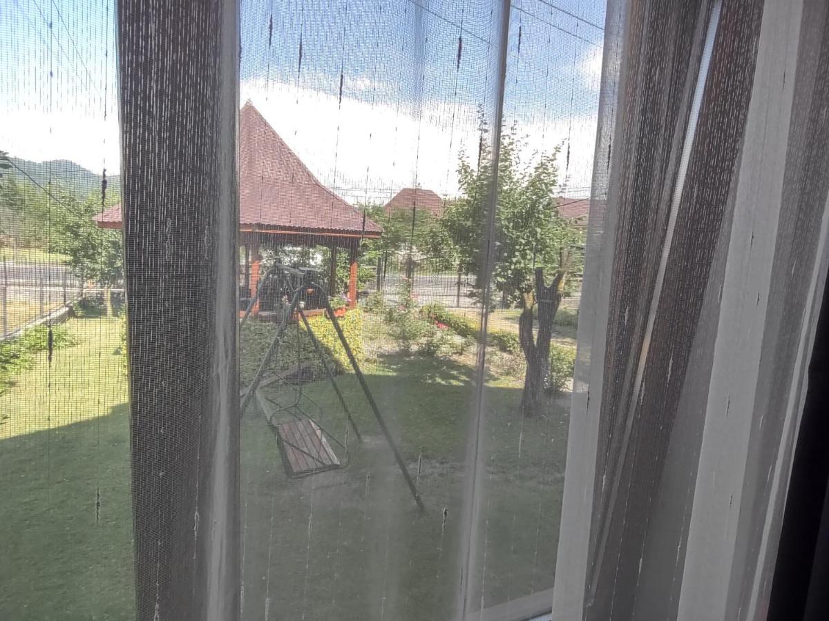 Pensiunea Ghita Vasile Vadu Izei Extérieur photo