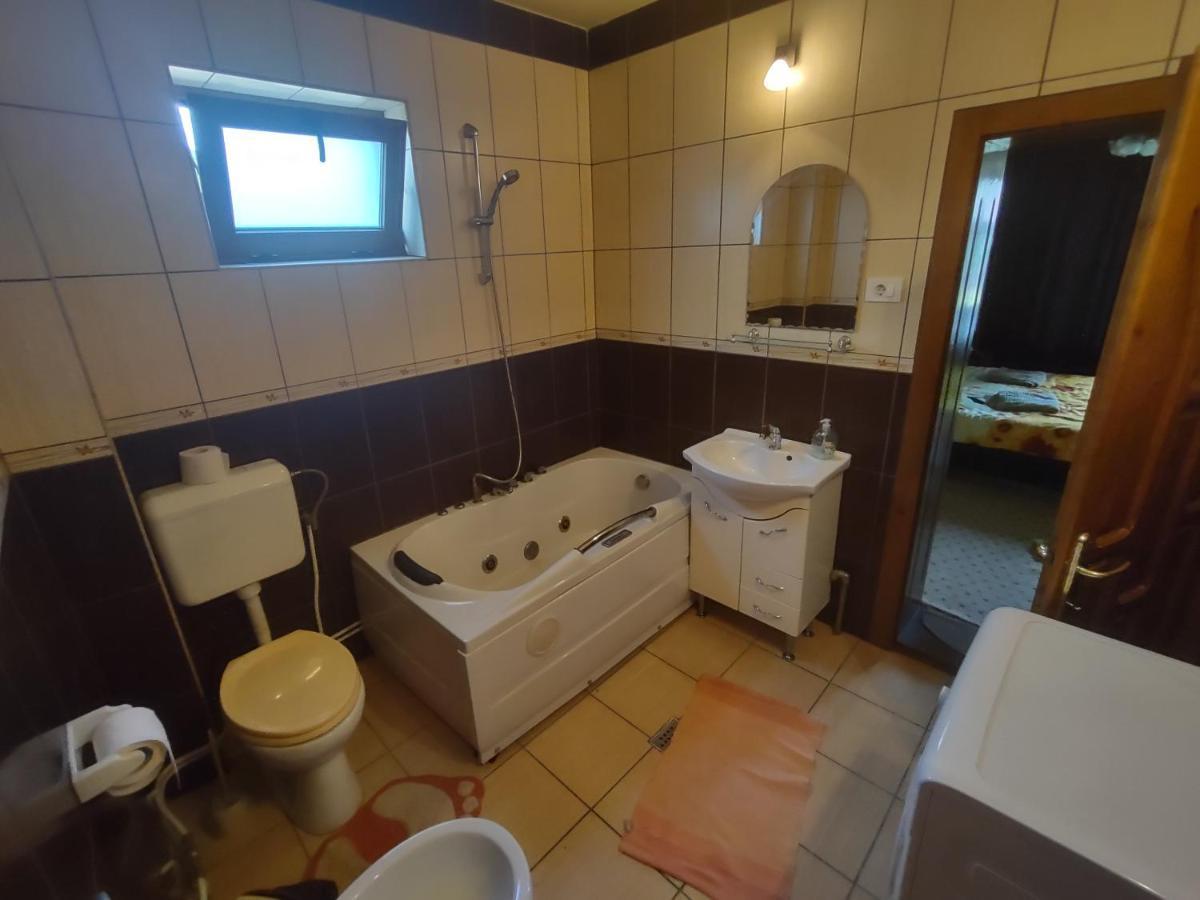 Pensiunea Ghita Vasile Vadu Izei Extérieur photo
