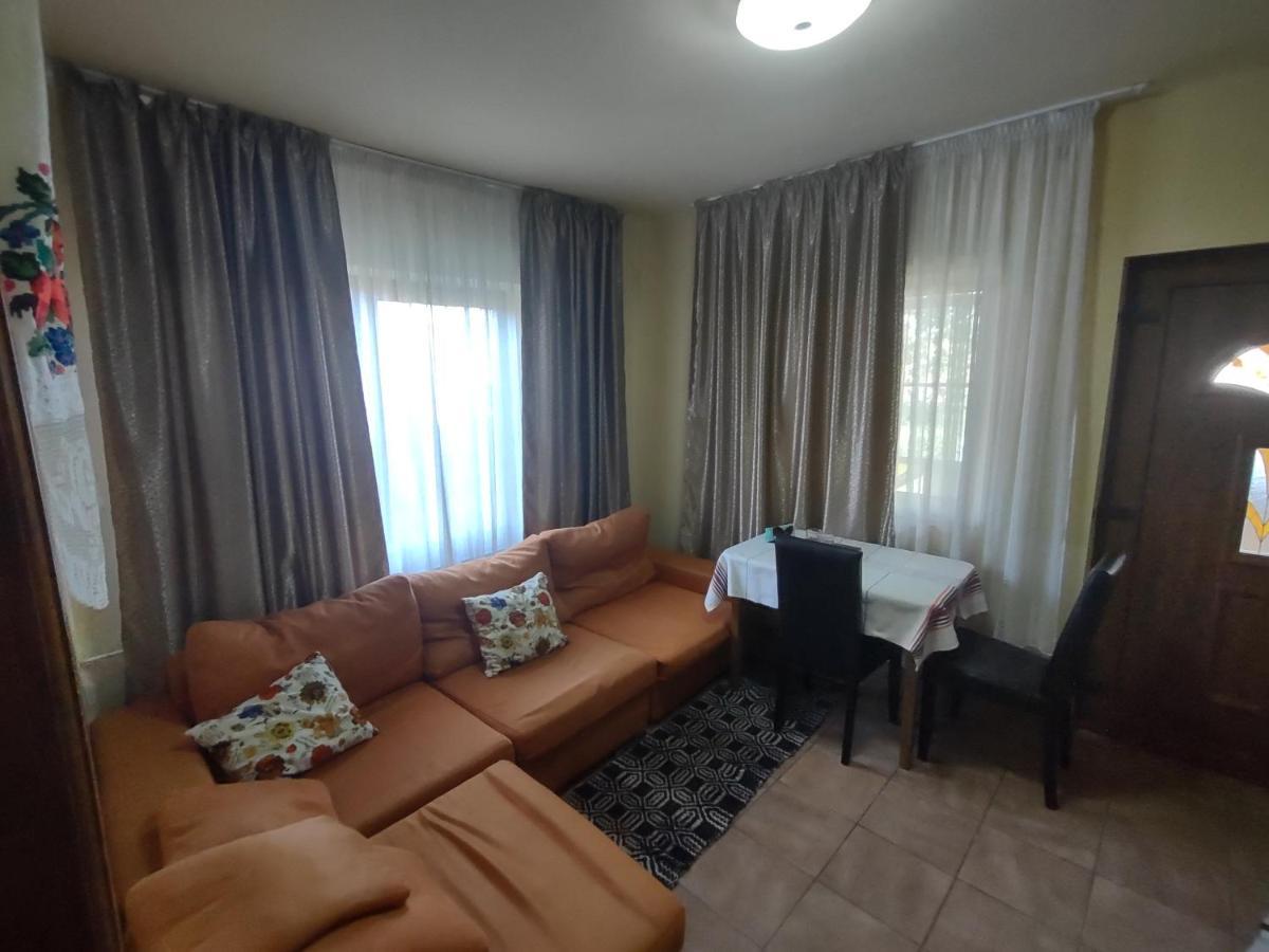 Pensiunea Ghita Vasile Vadu Izei Extérieur photo