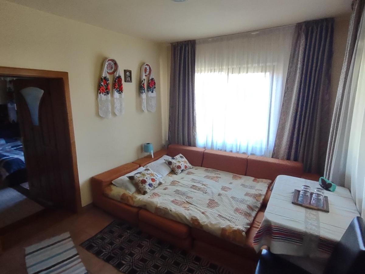 Pensiunea Ghita Vasile Vadu Izei Extérieur photo